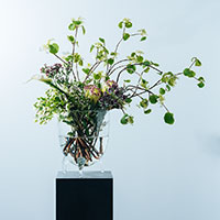 TSUTAYA DESIGN(スタジオ)|香取建築デザイン事務所